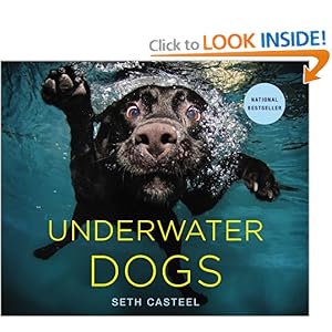Dogs Underwater Calendar