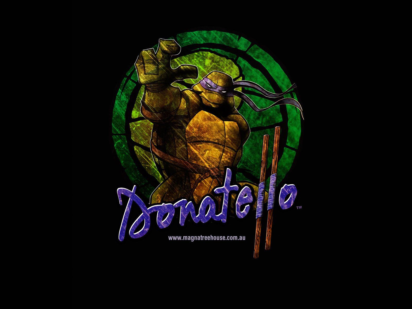 Donatello Turtle