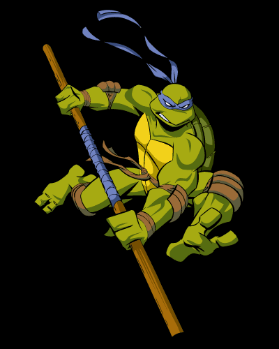 Donatello Turtle Color