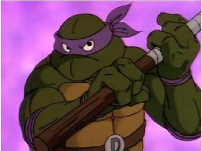 Donatello Turtle Color