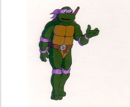 Donatello Turtle Color