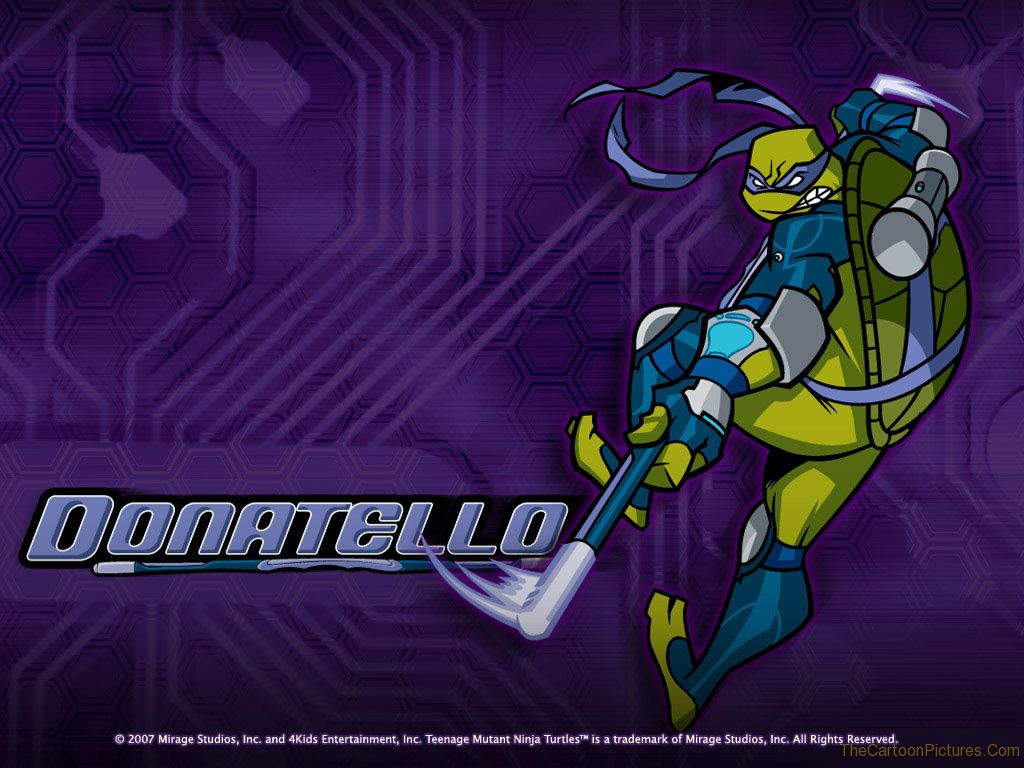 Donatello Turtle Quotes