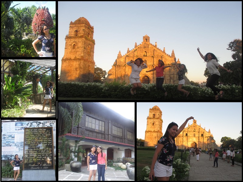 Dragon Fruit Farm In Ilocos Norte