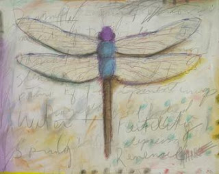 Dragonfly Art Gallery