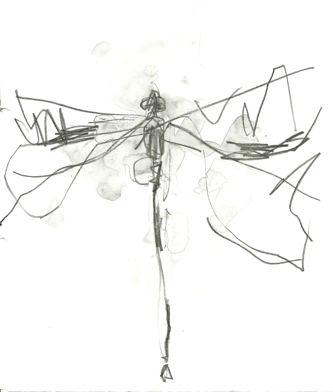 Dragonfly Drawing Template