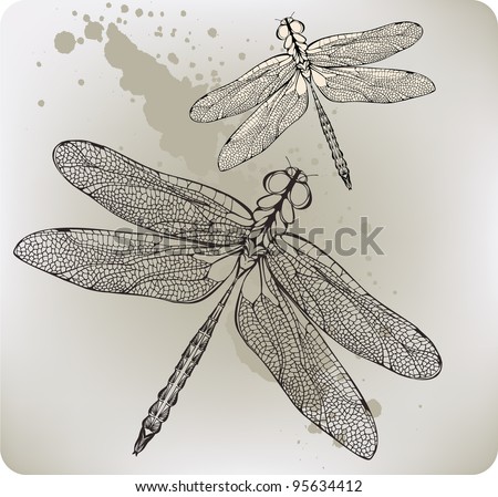 Dragonfly Drawings Free