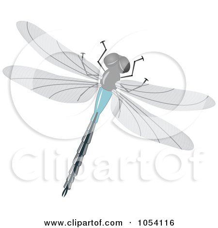 Dragonfly Drawings Free