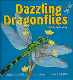 Dragonfly Nymph Facts