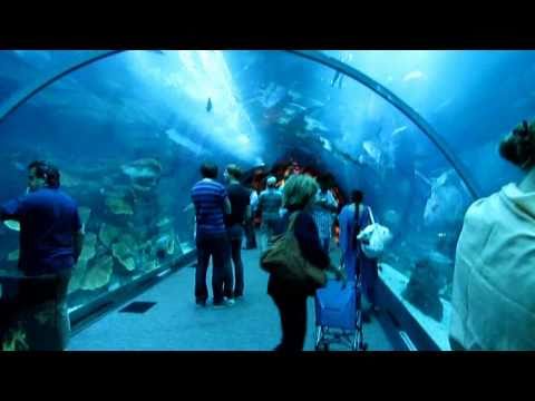 Dubai Mall Aquarium Explodes