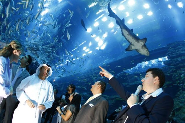 Dubai Mall Aquarium Explodes