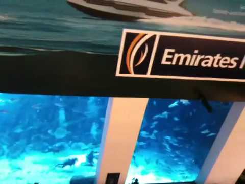 Dubai Mall Aquarium Leak 2012