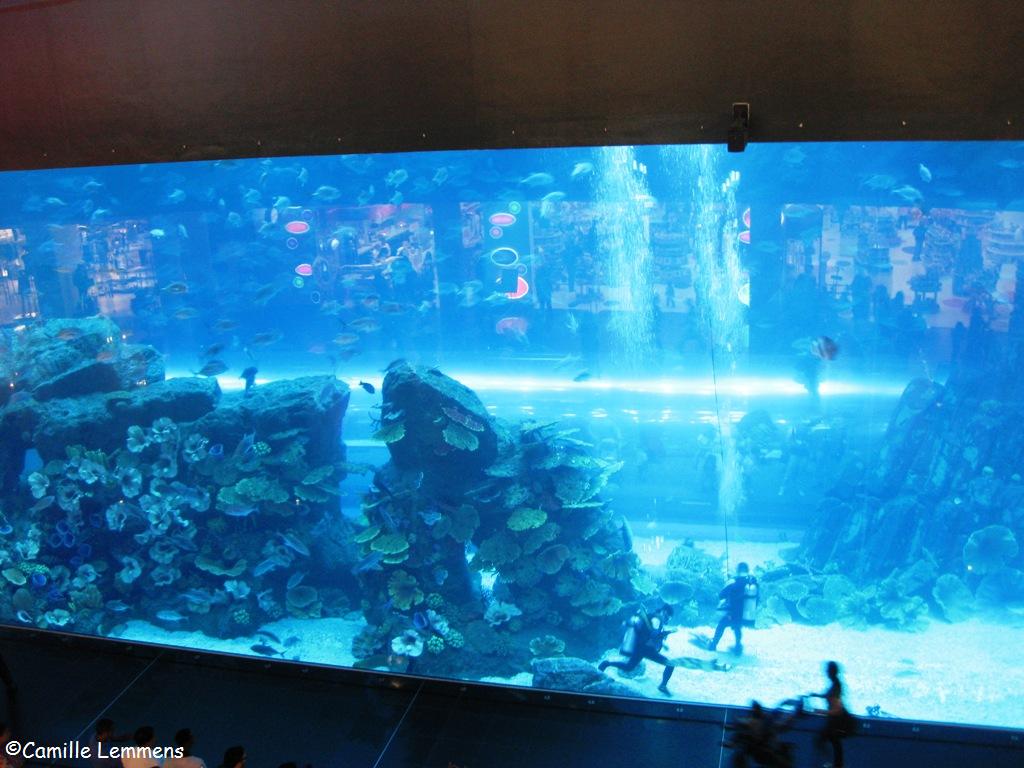 Dubai Mall Aquarium Leak