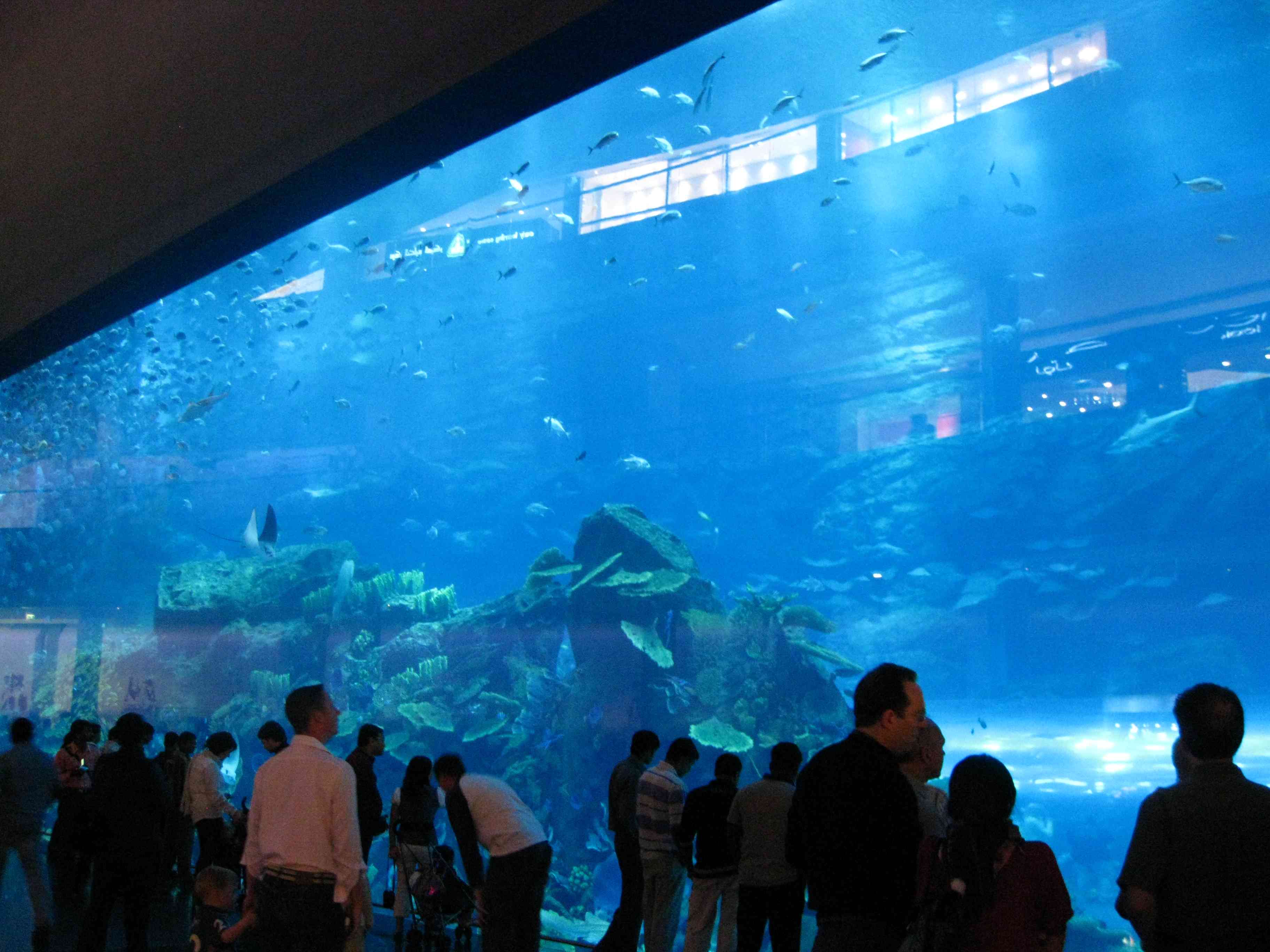 Dubai Mall Aquarium Leak