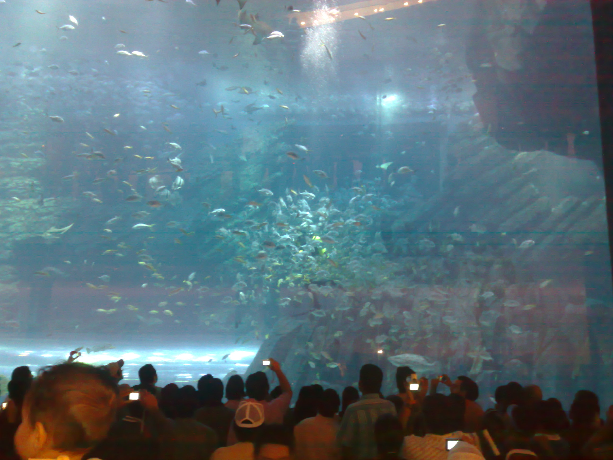 Dubai Mall Aquarium Leak