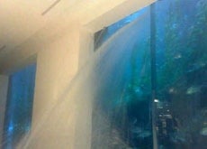 Dubai Mall Aquarium Leak