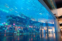 Dubai Mall Aquarium Leak