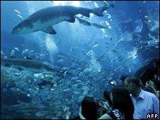 Dubai Mall Aquarium Leak