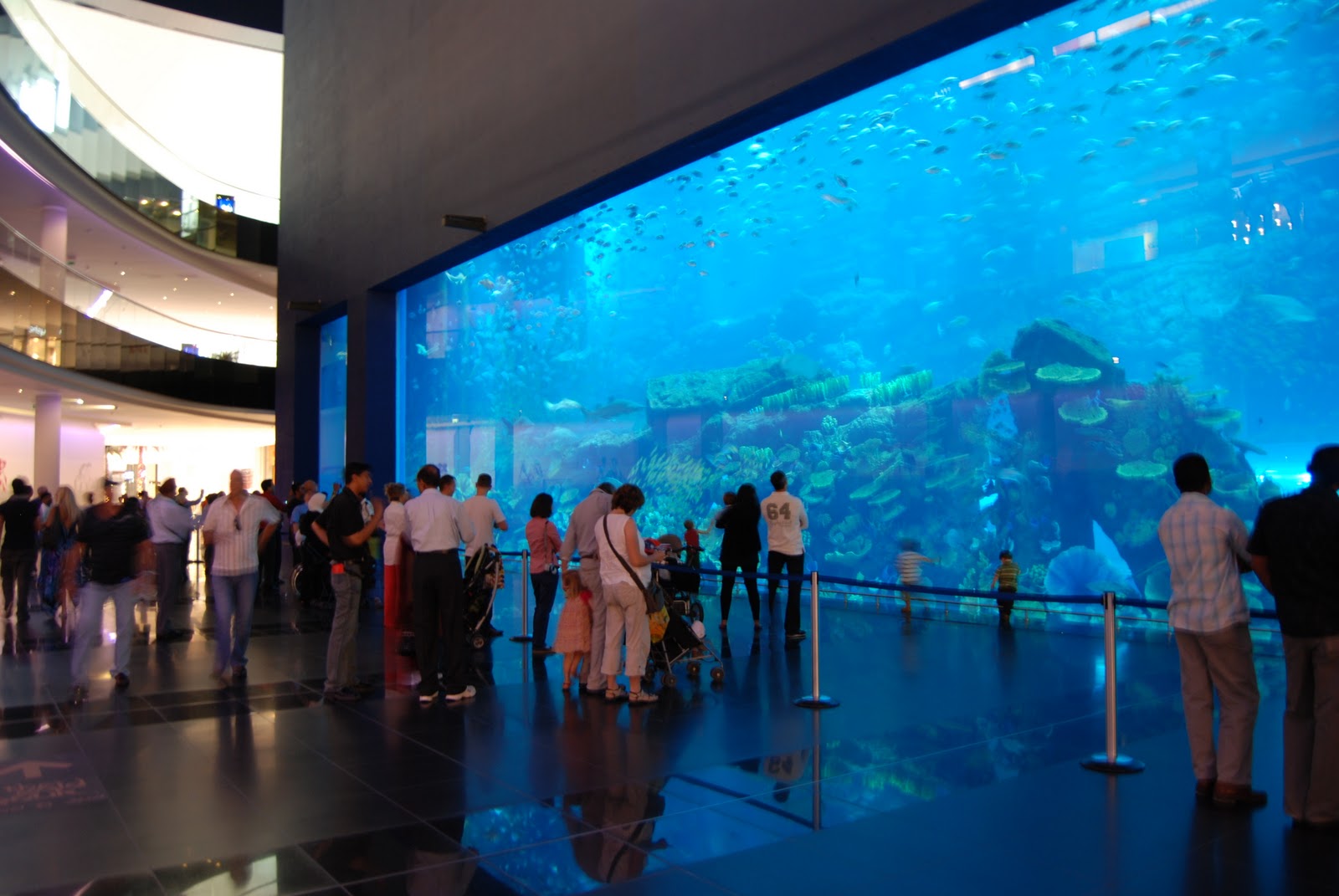 Dubai Mall Aquarium Leak