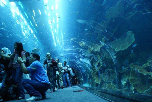 Dubai Mall Aquarium Prices