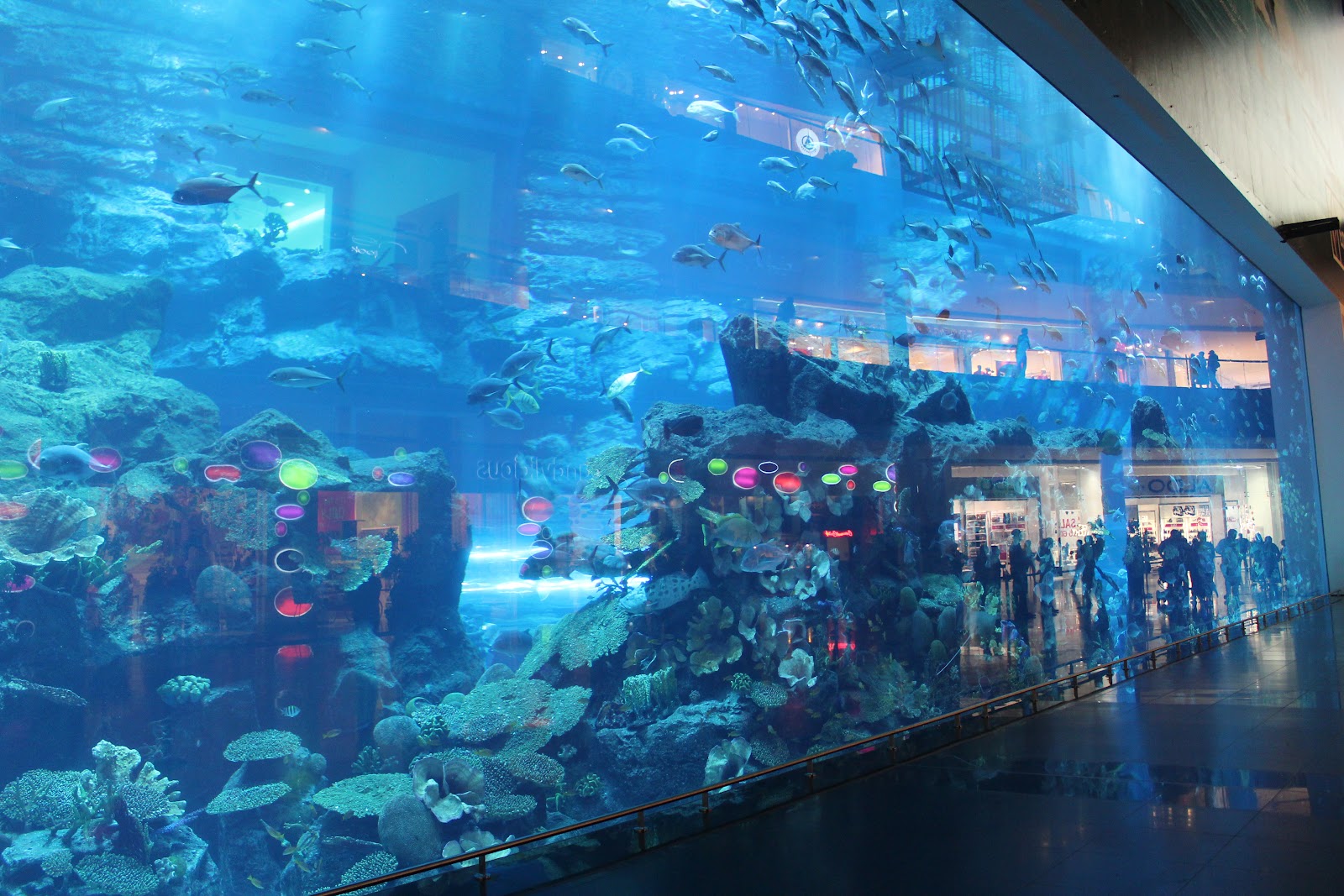 Dubai Mall Aquarium Prices