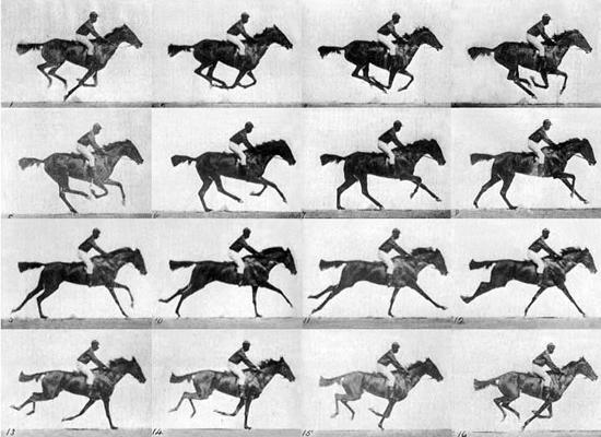 Eadweard Muybridge Horse In Motion