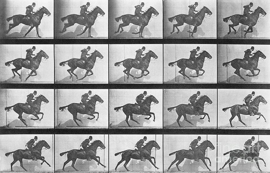 Eadweard Muybridge Horse In Motion