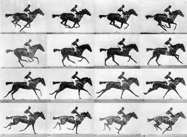 Eadweard Muybridge Horse In Motion