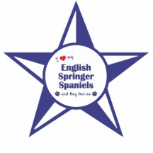 English Springer Spaniel Dogs 101