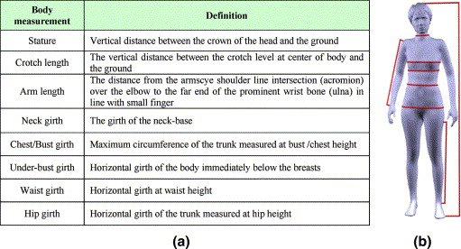 Examples Of Fixed Joints In The Human Body