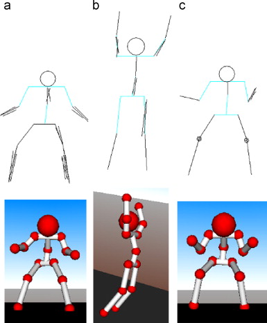 Examples Of Fixed Joints In The Human Body