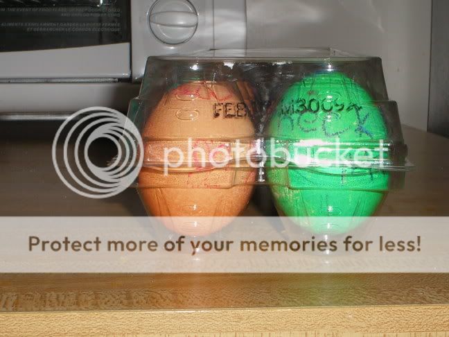 Expired Eggs Sick