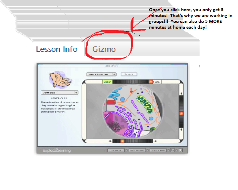 Explore Learning Gizmo Answers