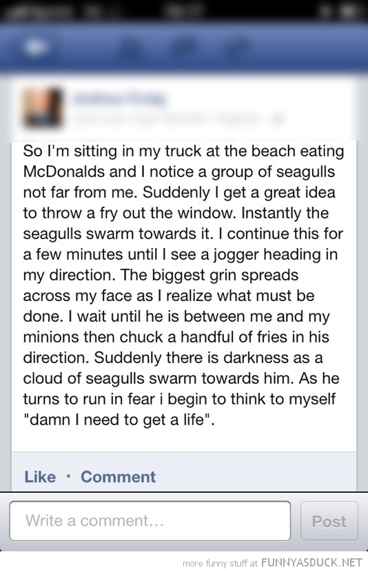 Facebook Statuses About Life Funny