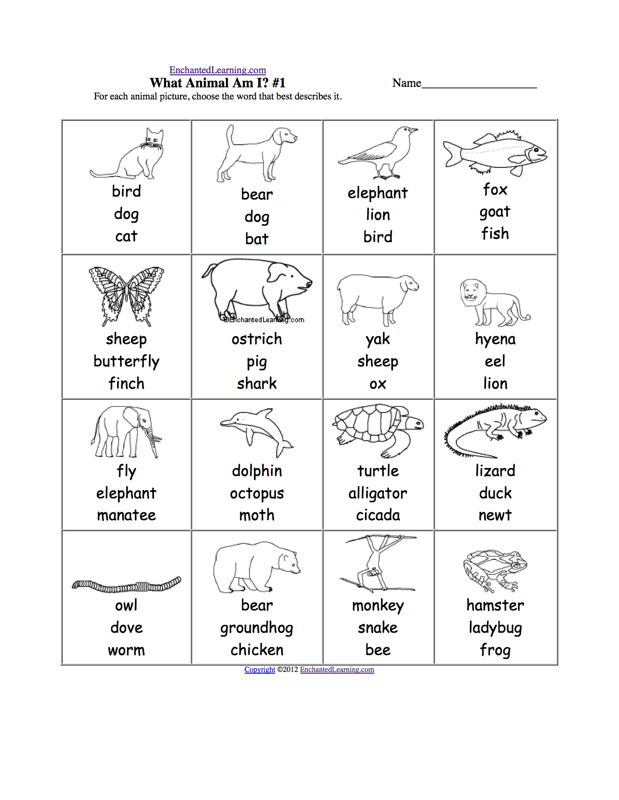 Features Of A River Worksheet Ks2