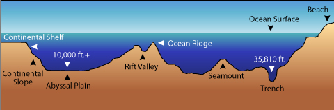 Features Of The Ocean Floor