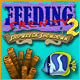 Feeding Frenzy 2 Free Online