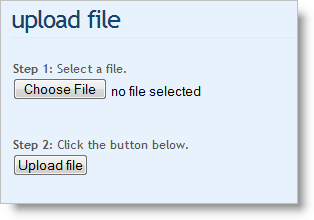 File Upload Button Text