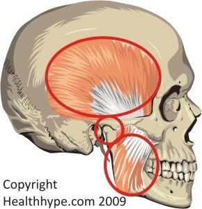 Fixed Joints Cranium