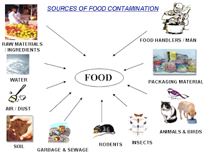 Food Adulteration Project Conclusion