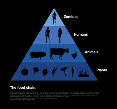 Food Chains And Food Webs Videos