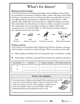 Food Chains Worksheet