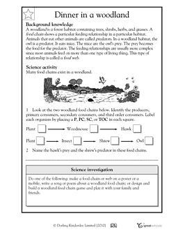 Food Chains Worksheet