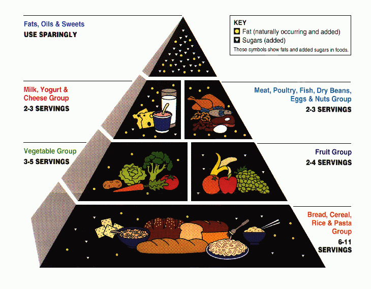 Food Pyramid 2012 Printable