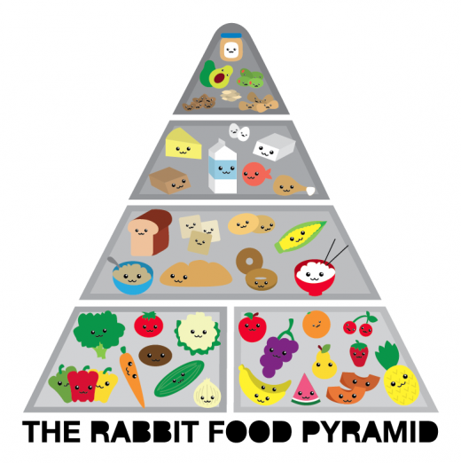 Food Pyramid