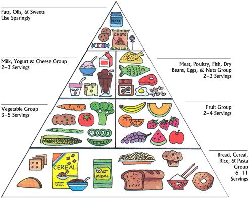 Food Pyramid Australia 2012