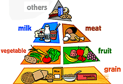 Food Pyramid Guide 2012