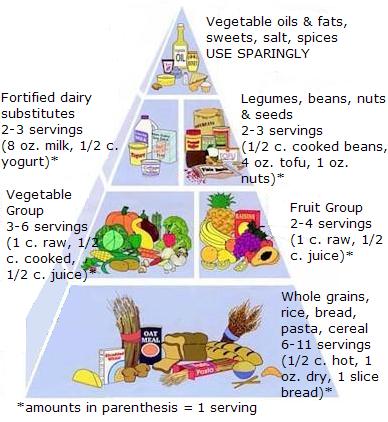 Food Pyramid Guide For Teenagers