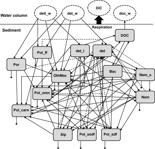 food-web-examples-simple