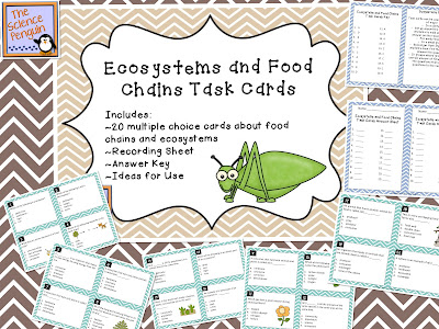 Food Web Worksheet 3rd Grade