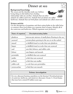 Food Web Worksheet For Middle School